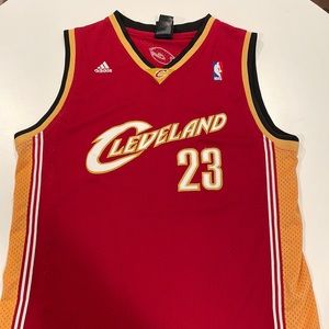 LeBron James Cleveland jersey.